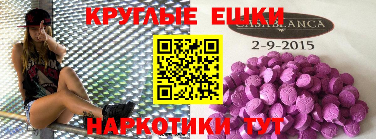 Ecstasy Philipp Plein Новосибирск