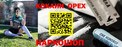 крисы Северобайкальск