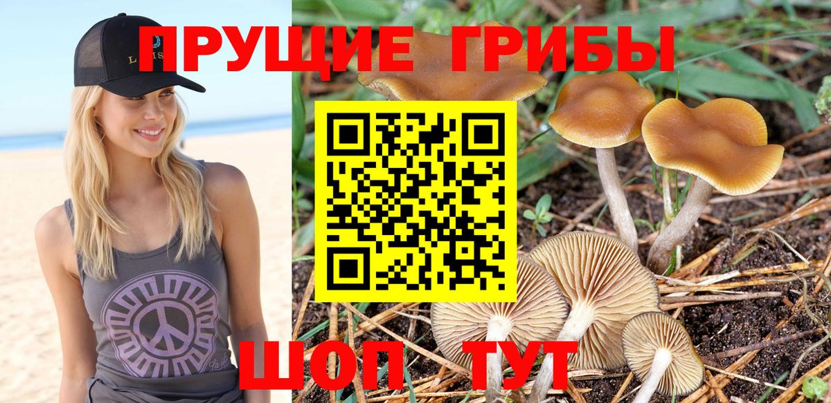 Псилоцибиновые грибы мухоморы Новосибирск