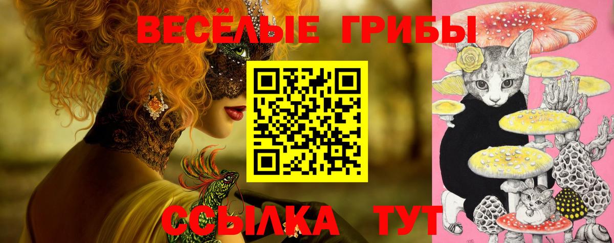 Псилоцибиновые грибы ЛСД  Псилоцибиновые грибы Psilocybine cubensis  Новосибирск  Вход с VPN 